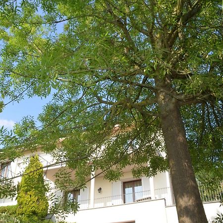 Villa Patrizia Moncalvo Bagian luar foto